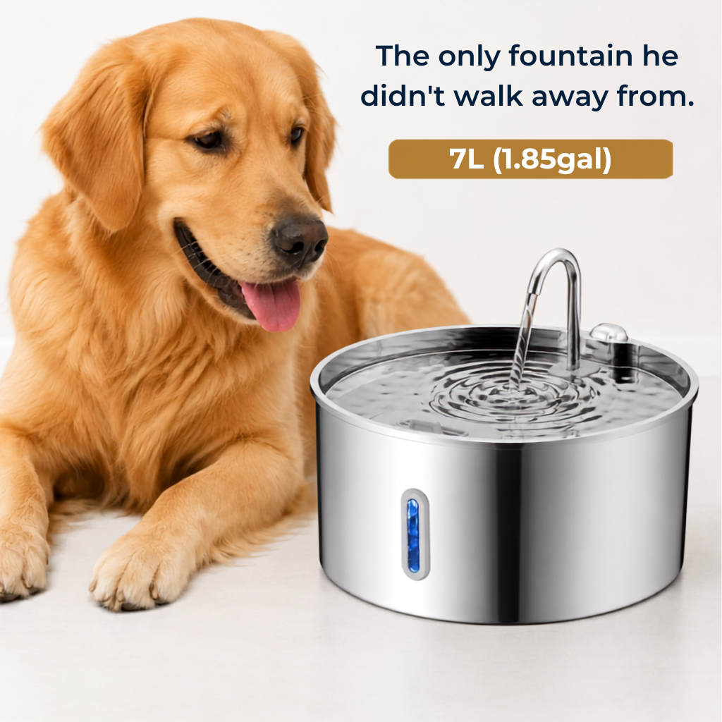 Veilloire PureFlow™ For Big Dogs