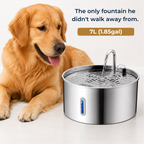 Veilloire PureFlow™ For Big Dogs