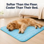 Veilloire CoolNest™